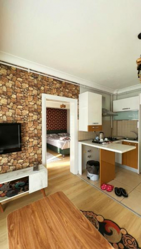 Edirne House